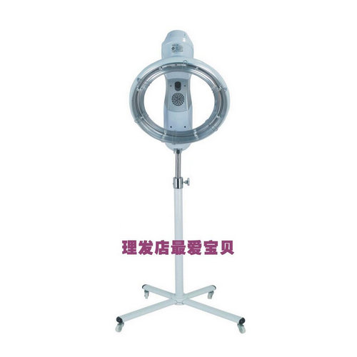 standing Professional ozone micro mist hair steamer for hair salon equipment